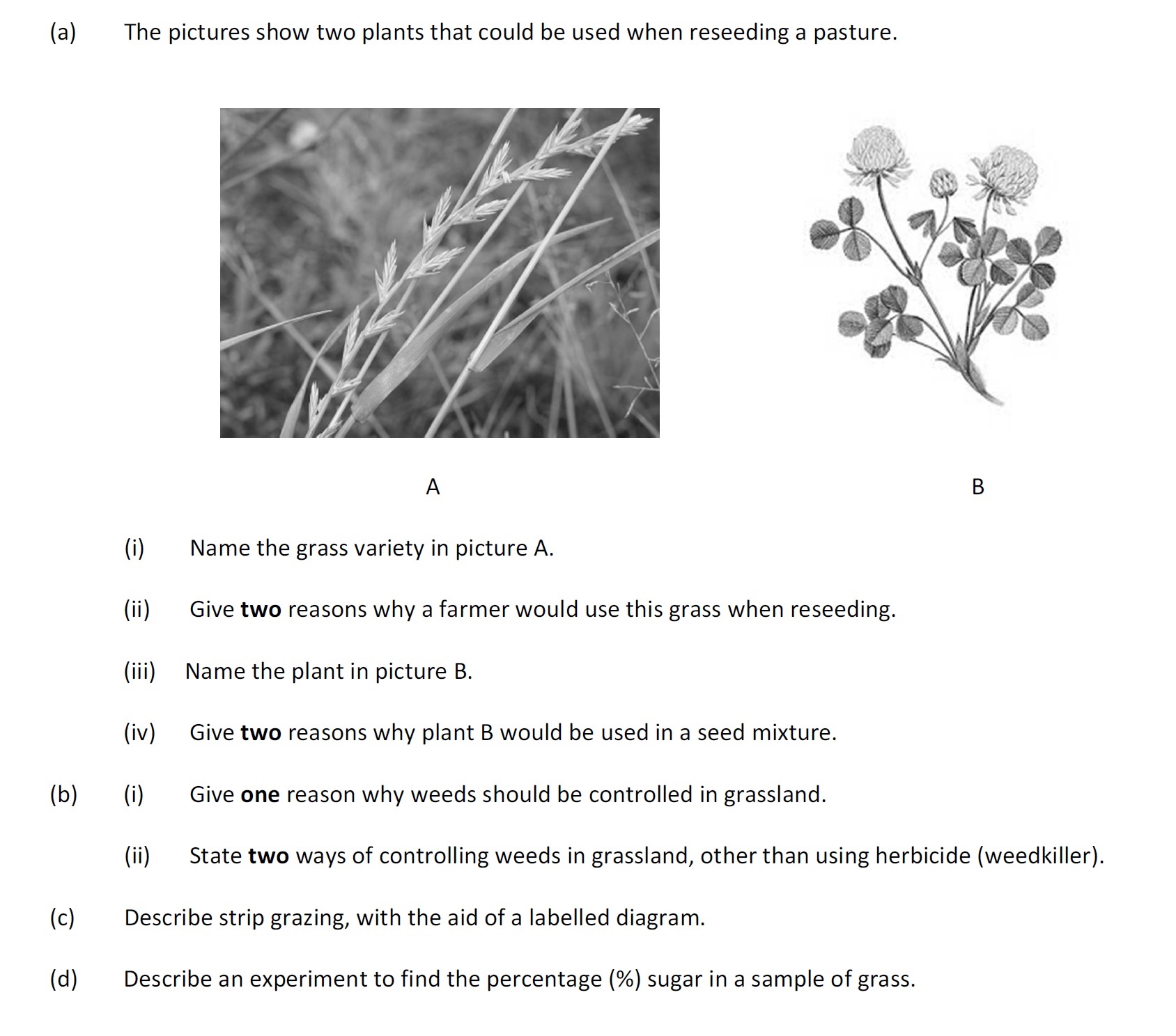 The-pictures-show-two-plants-that-could-be-used-when-reseeding-a-pasture-Leaving Cert Agricultural Science-Question a-2017.png