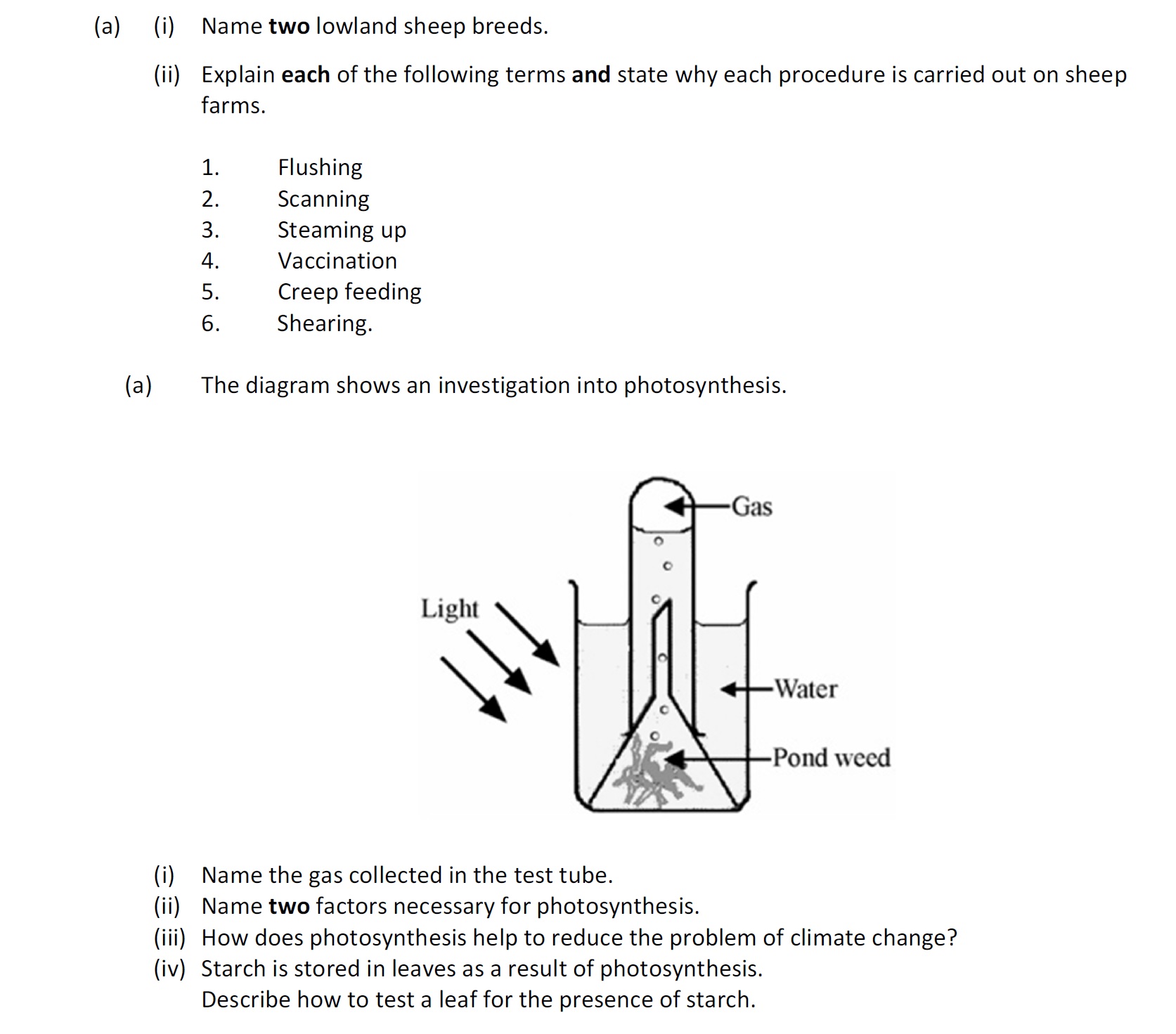 Name-two-lowland-sheep-breeds-Leaving Cert Agricultural Science-Question a-2018.png
