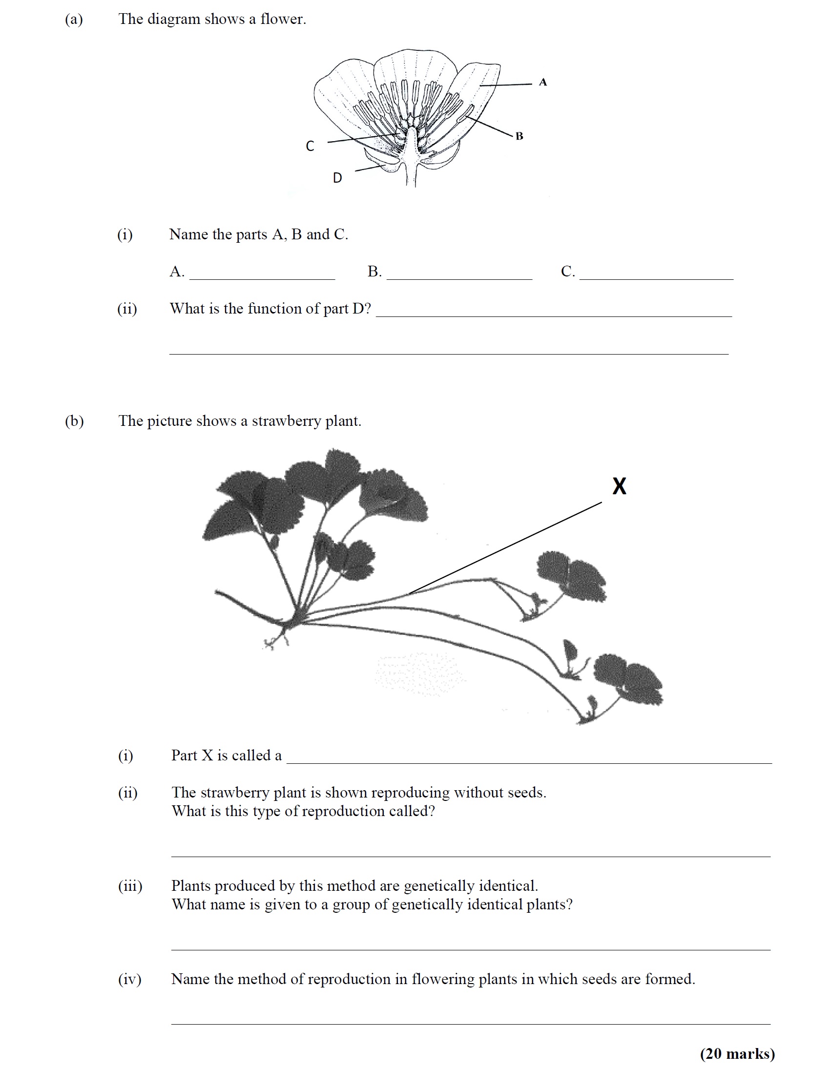 The-diagram-shows-a-flower-Leaving Cert Agricultural Science-Question a-2016.png