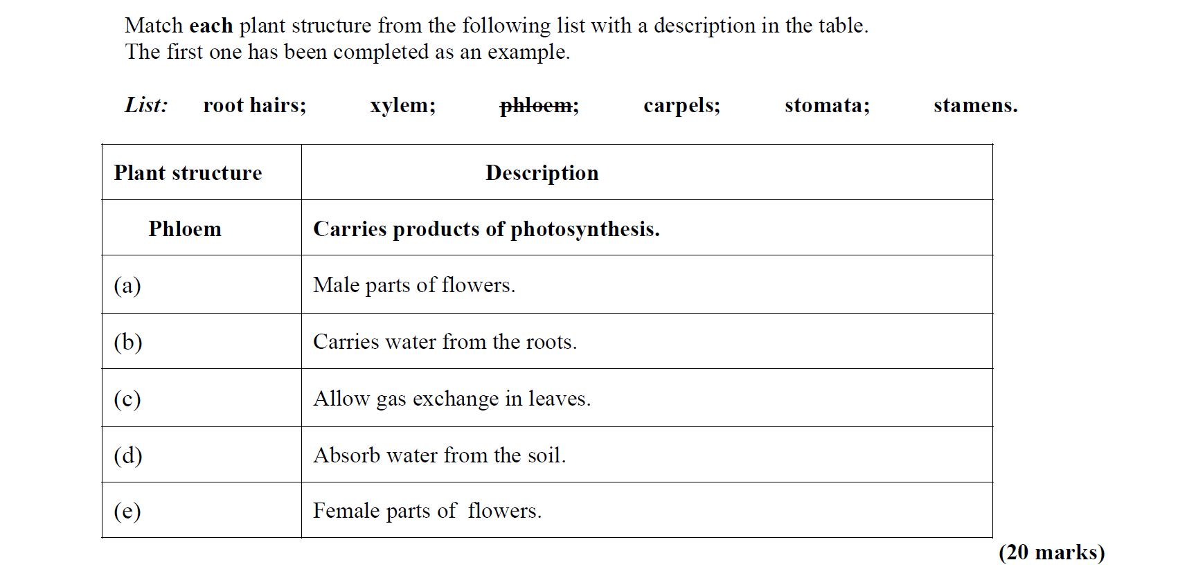 Match-each-plant-structure-from-the-following-list-with-a-description-in-the-table-Leaving Cert Agricultural Science-Question 6-2012.png