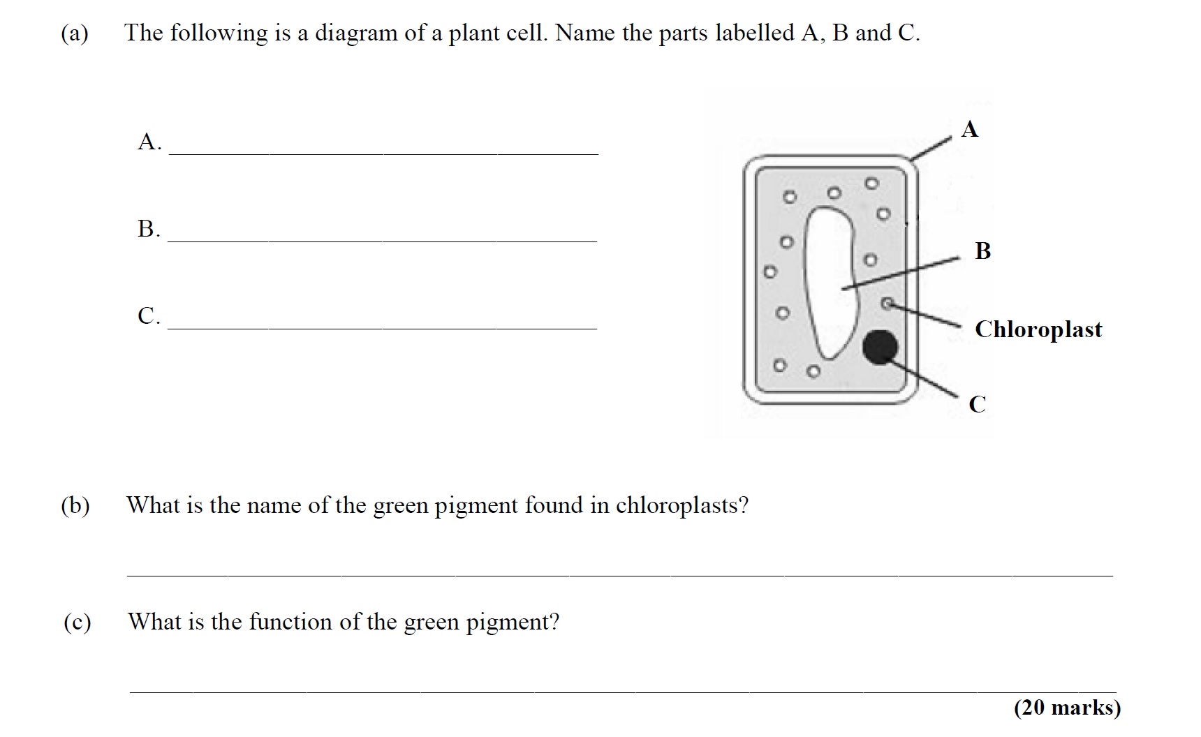 The-following-is-a-diagram-of-a-plant-cell-Leaving Cert Agricultural Science-Question 6-2010.png