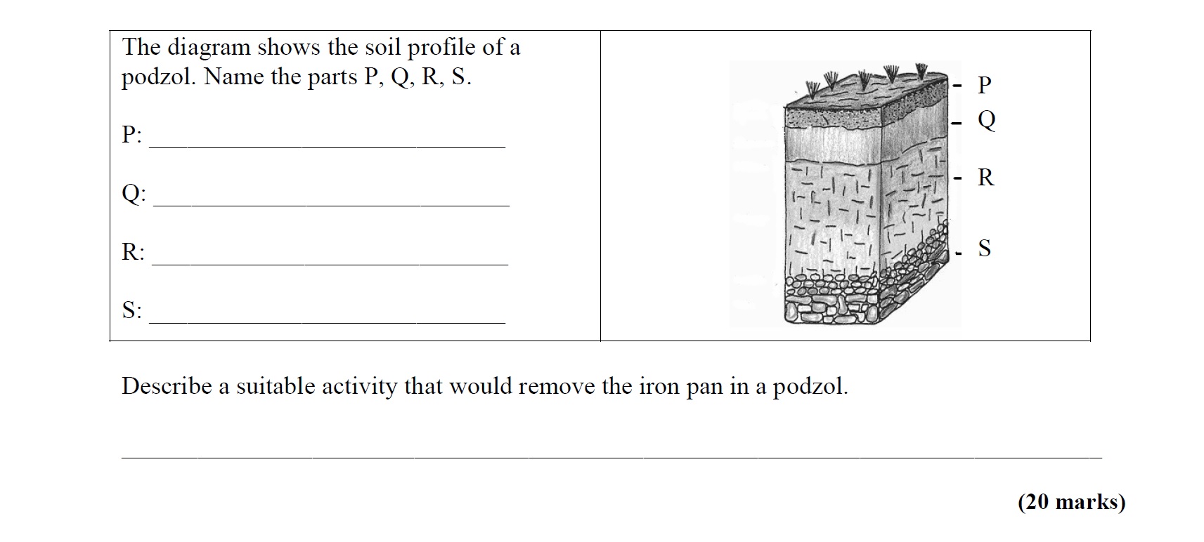 The-diagram-shows-the-soil-profile-of-a-podzol-Leaving Cert Agricultural Science-Question Question 1-2009.png