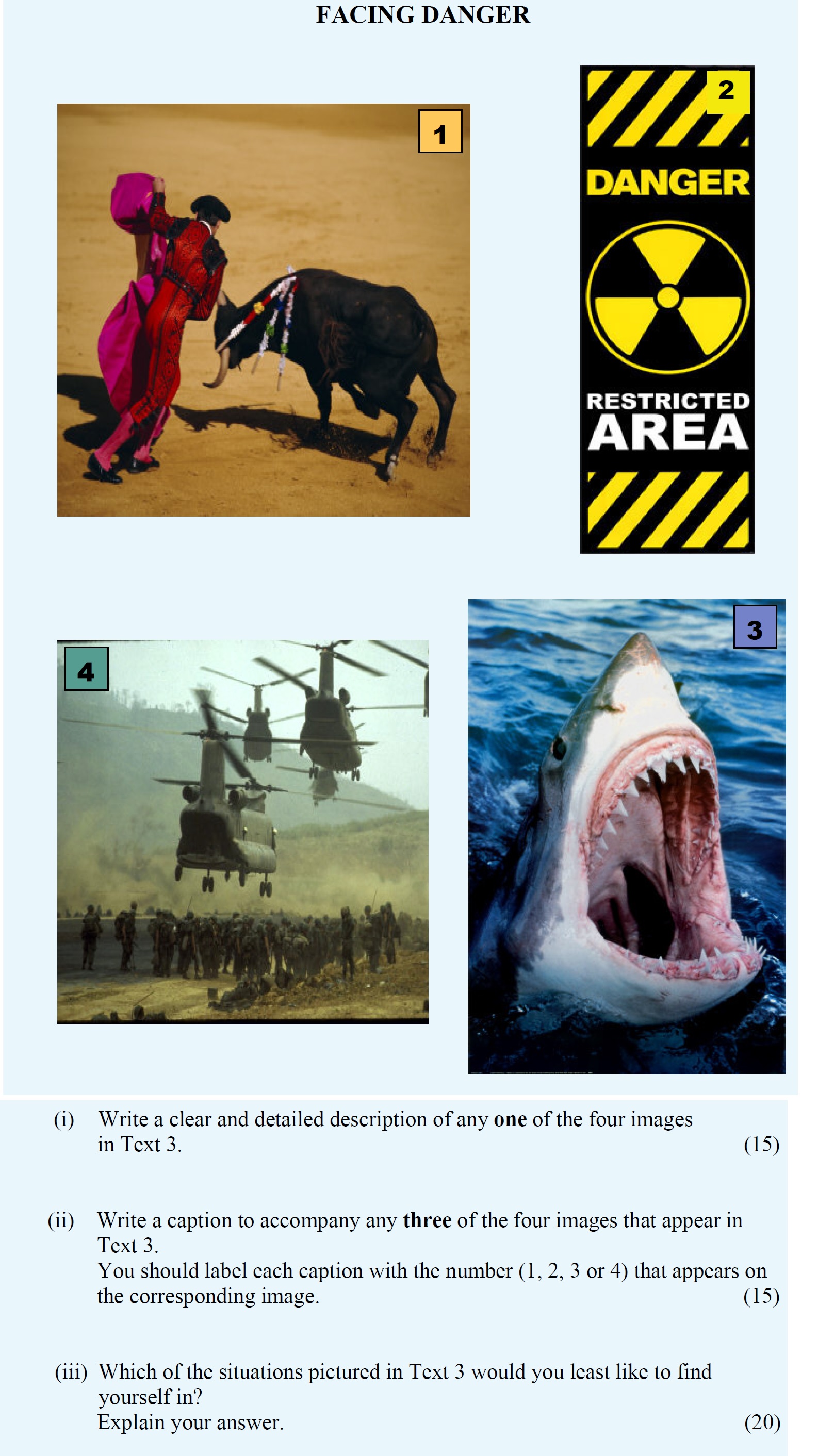 Write-a-clear-and-detailed-description-of-any-one-of-the-four-images-in-Text-3-Leaving Cert English-Question A-2010.png