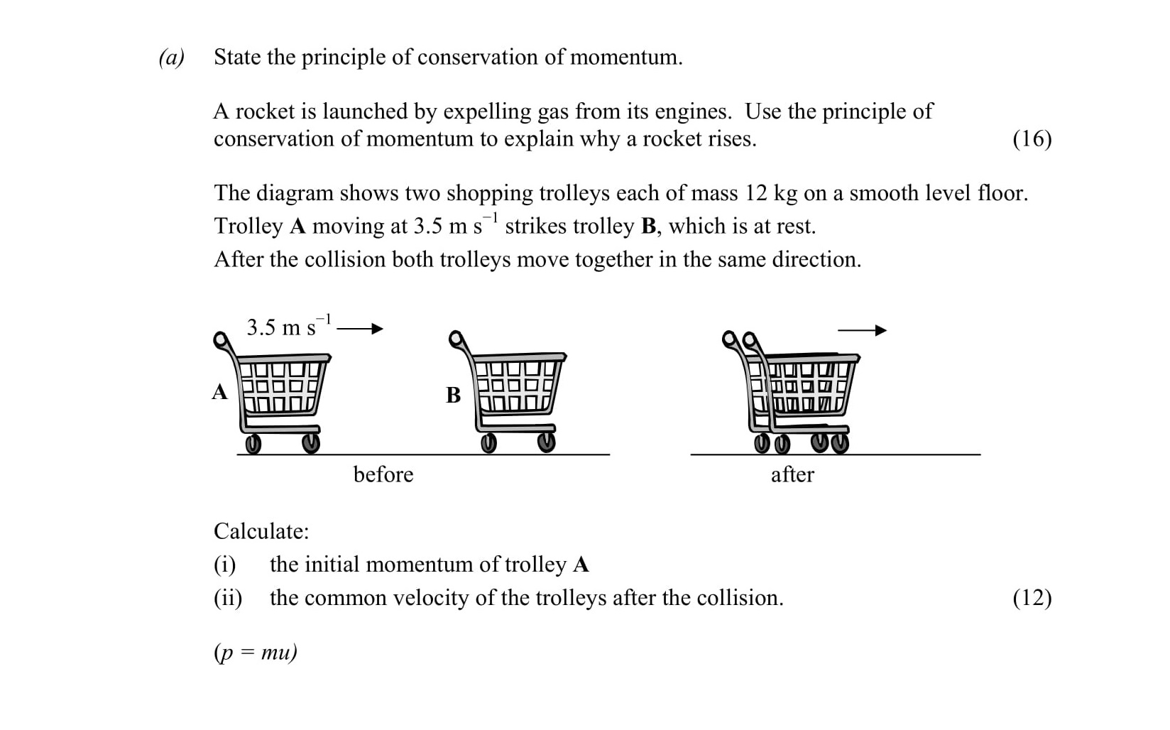 State-the-principle-of-conservation-of-momentum-Leaving Cert Physics-Question a-2007.png