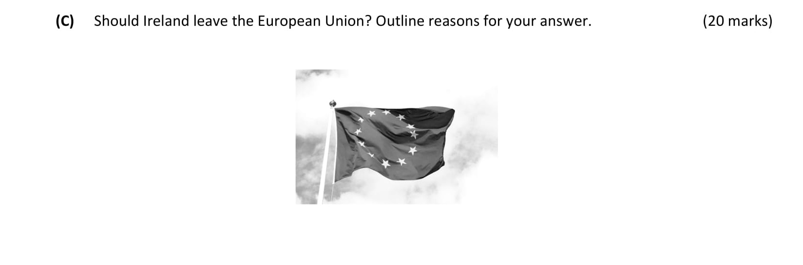 Should-Ireland-leave-the-European-Union?-Outline-reasons-for-your-answer.---Leaving Cert Business-Question C-2017.png