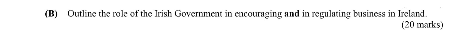 Outline-the-role-of-the-Irish-Government-in-encouraging-and-in-regulating-business-in-Ireland.-Leaving Cert Business-Question B-2013.png