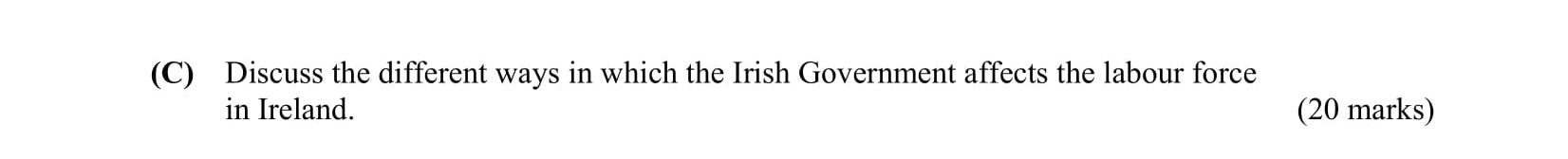 Discuss-the-different-ways-in-which-the-Irish-Government-affects-the-labour-force-in-Ireland.-Leaving Cert Business-Question C-2010.png