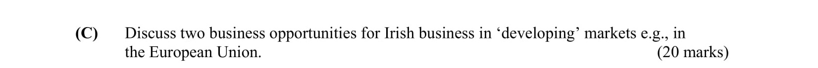Discuss-two-business-opportunities-for-Irish-business-in-'developing'-markets-e.g-Leaving Cert Business-Question C-2004.png