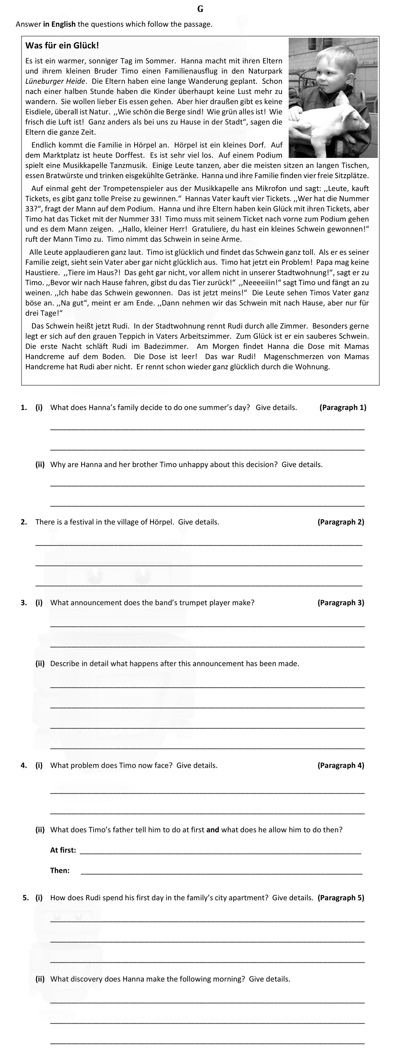 Was-für-ein-Glück!--Es-ist-ein-warmer,-sonniger-Tag-im-Sommer-Junior Cycle German-Question G-2017.png