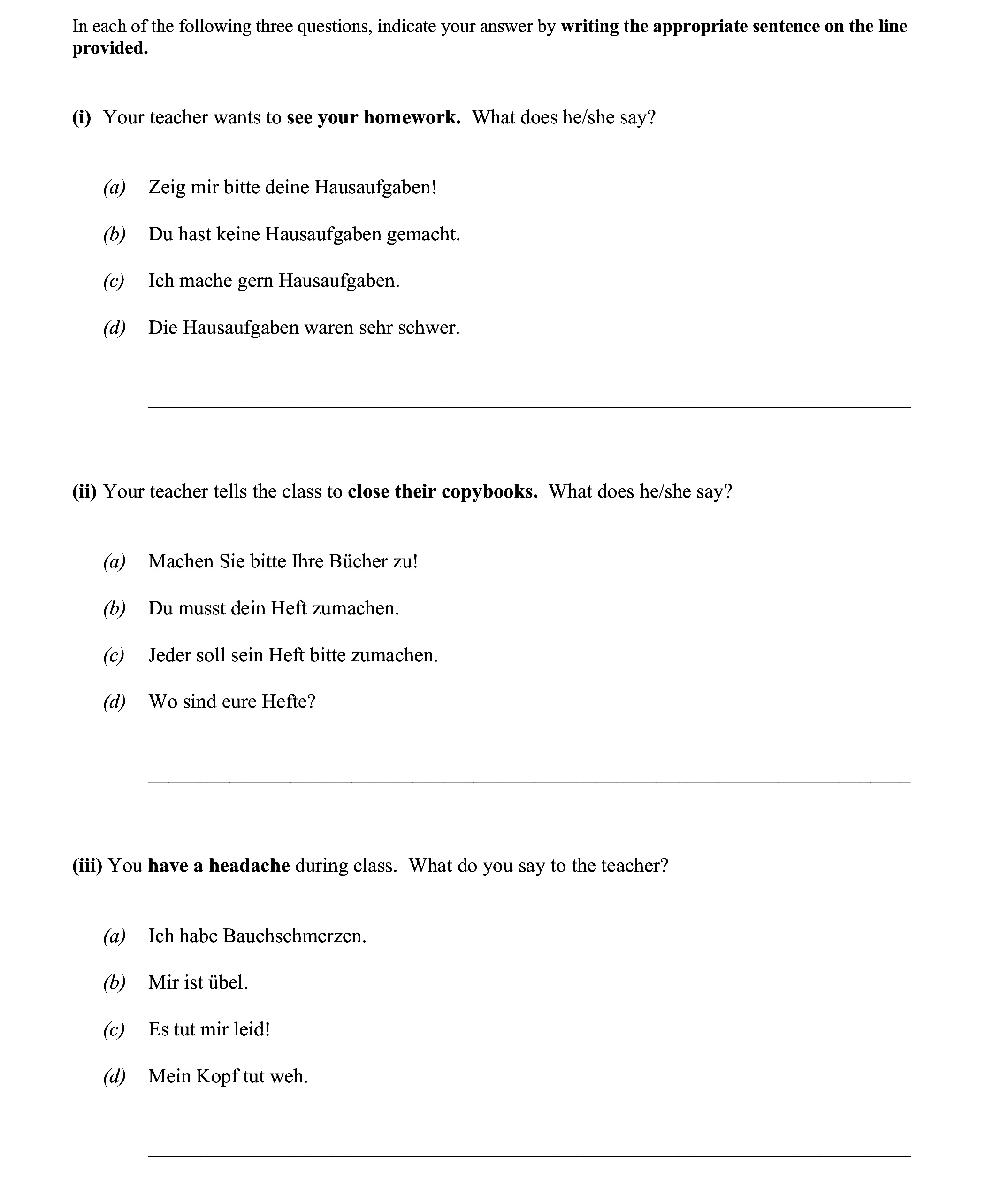 You-teacher-wants-to-see-your-homework-Junior Cycle German-Question i-2010.png