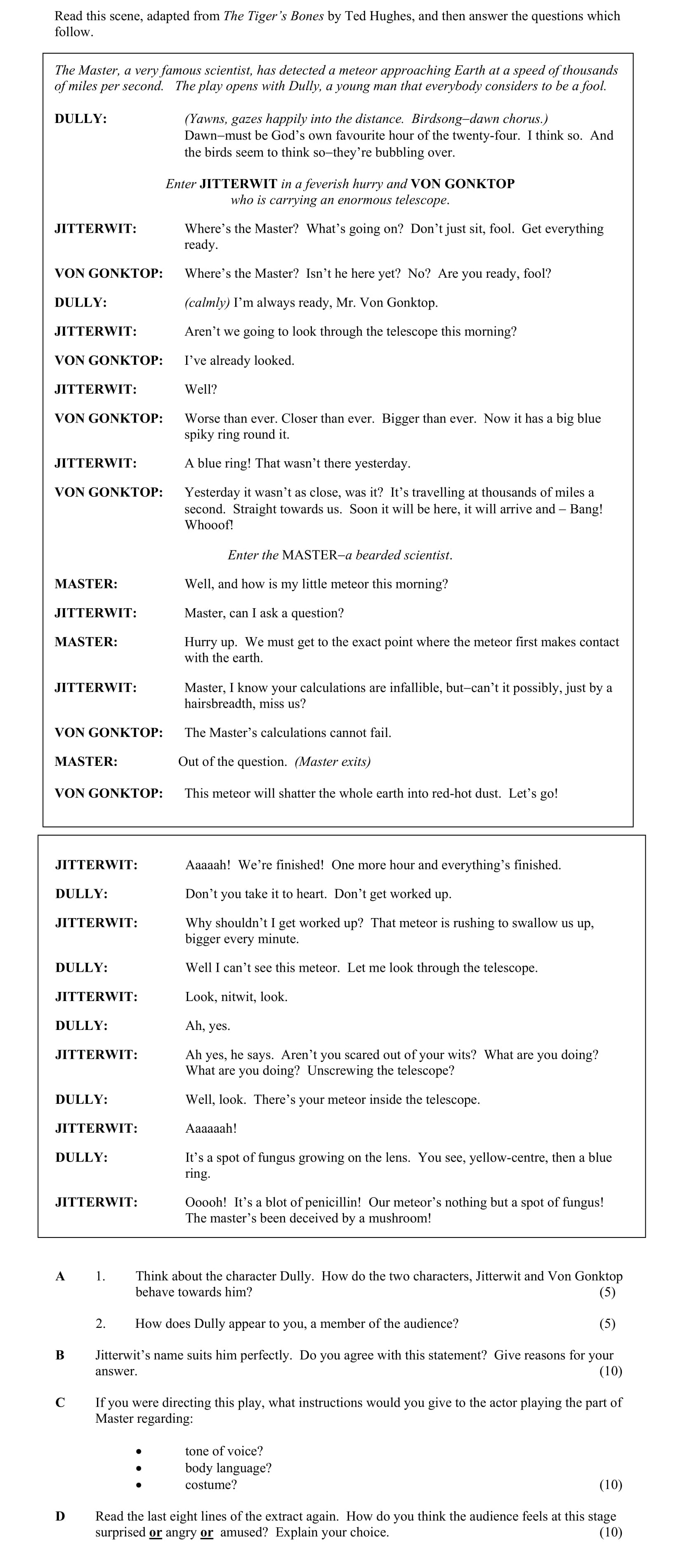 Think-about-the-character-Dully-Junior Cycle English-Question A-2007.png