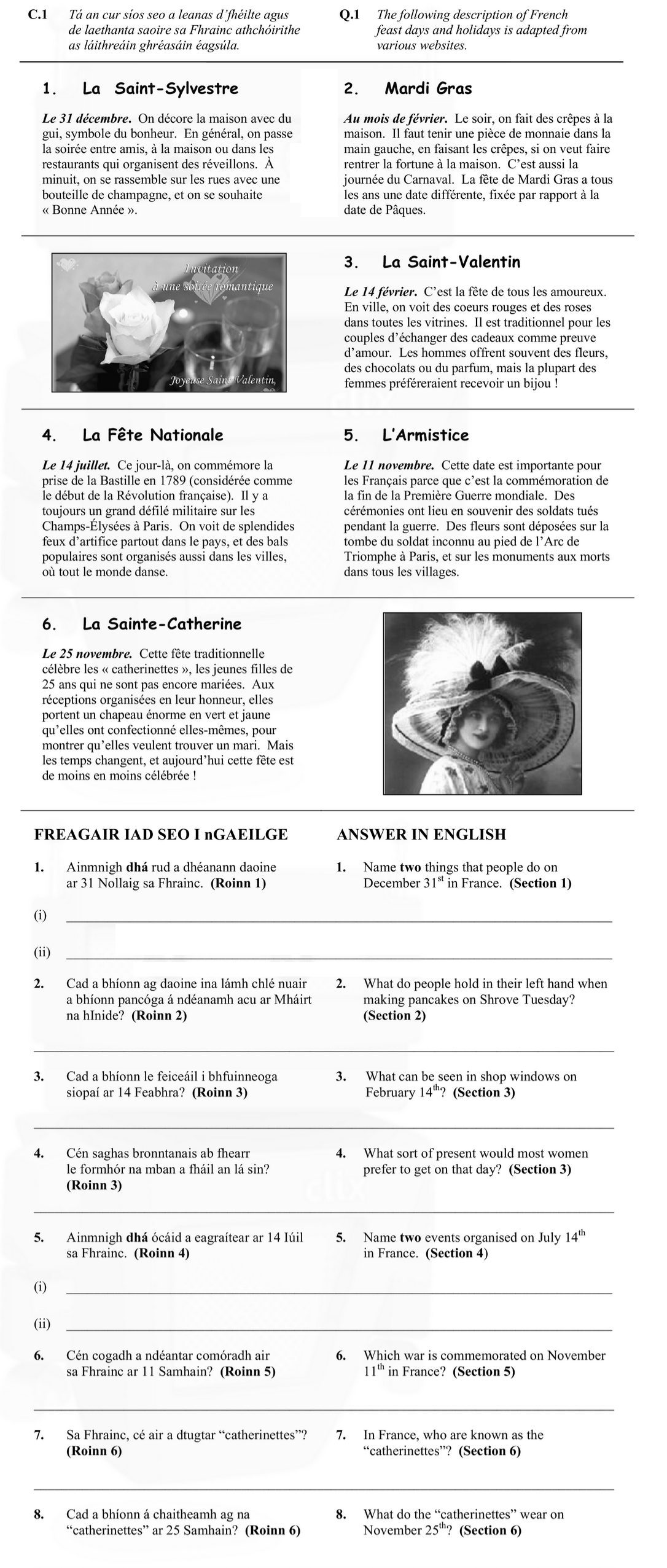 1.-La-Saint-Sylvestre--Le-31-décembre-Leaving Cert French-Question C.1-2013.png