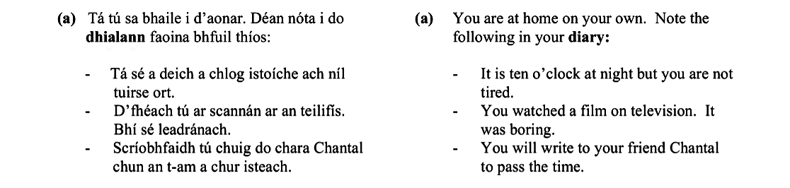 You-are-at-home-on-your-own-Leaving Cert French-Question a-2005.png