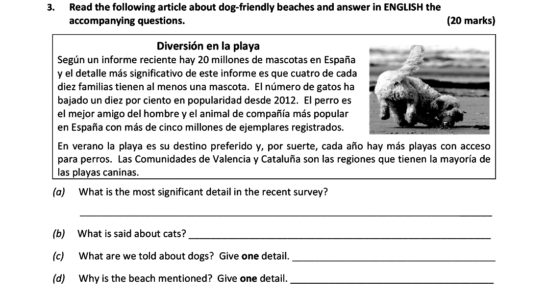 Read-the-following-article-about-dog-friendly-beaches-and-answer-in-ENGLISH-the-accompanying-questions-Leaving Cert Spanish-Question 3-2019.png
