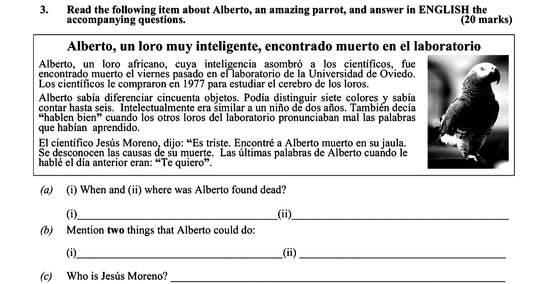 Read-the-following-item-about-Alberto,-an-amazing-parrot,-and-answer-in-ENGLISH-the-accompanying-questions-Leaving Cert Spanish-Question 3-2010.png