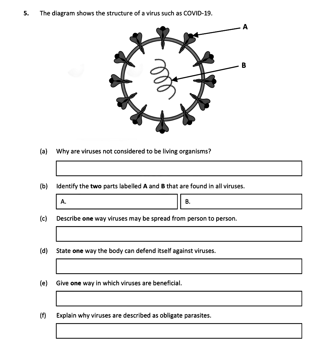 The-diagram-shows-the-structure-of-a-virus-such-as-COVID-19-Leaving Cert Biology-Question 5-2021.png