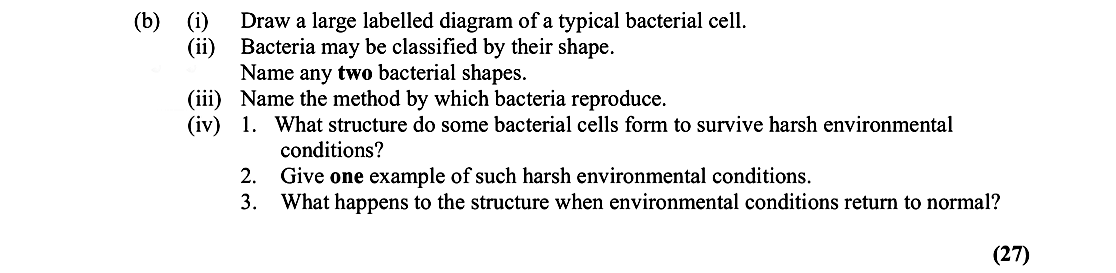 Draw-a-large-labelled-diagram-of-a-typical-bacterial-cell-Leaving Cert Biology-Question b-2016.png