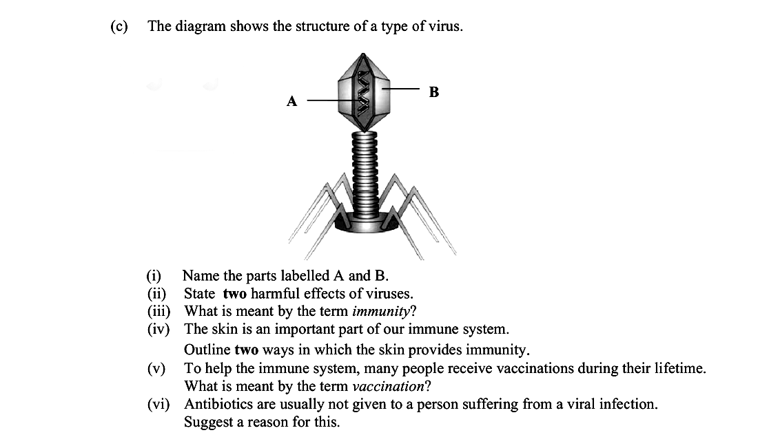The-diagram-shows-the-structure-of-a-type-of-virus-Leaving Cert Biology-Question c-2016.png