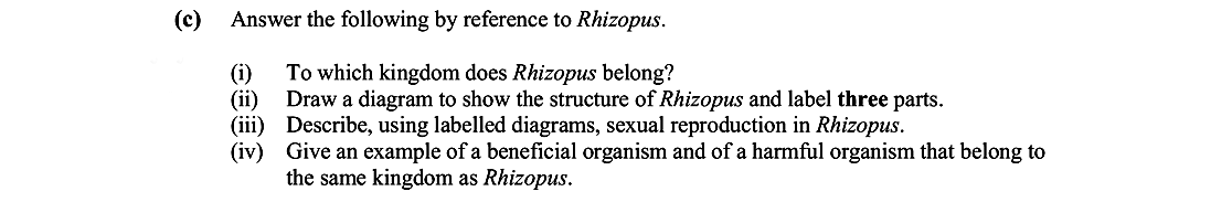 Answer-the-following-by-reference-to-Rhizopus-Leaving Cert Biology-Question c-2008.png
