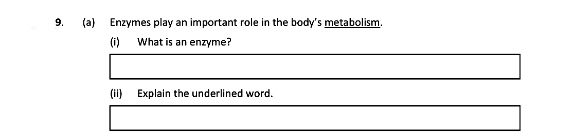 Enzymes-play-an-important-role-in-the-body's-metabolism-Leaving Cert Biology-Question 9-2021.png