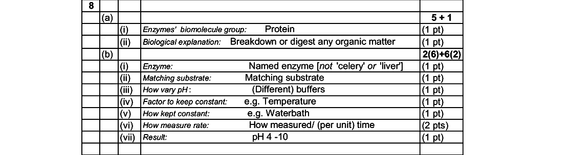Enzymes'-biomolecule-group:-Protein-Biological-explanation:-Breakdown-or-digest-any-organic-matter-Leaving Cert Biology-Question 8-2015.png