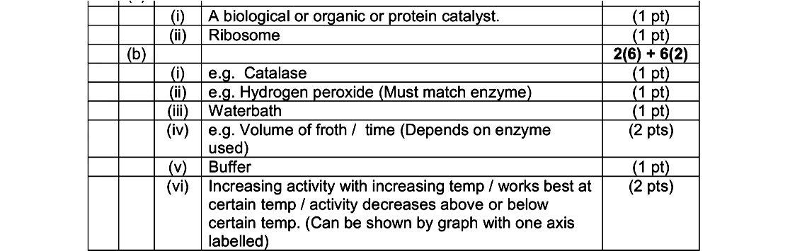 Enzymes-are-used-in-many-processes-in-both-plants-and-animals-Leaving Cert Biology-Question c-2011.png
