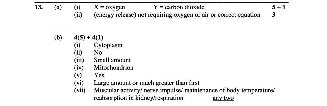 X-=-oxygen-Y-=-carbon-dioxide--(energy-release)-not-requiring-oxygen-or-air-or-correct-equation--4(5)-+-4(1)--Cytoplasm-No-Small-amount-Mitochondrion-Yes-Large-amount-or-much-greater-than-first-Muscular-activity-/-nerve-impulse-/-maintenance-of-body-temperature-/-reabsorption-in-kidney/respiration--Leaving Cert Biology-Question 13-2005.png