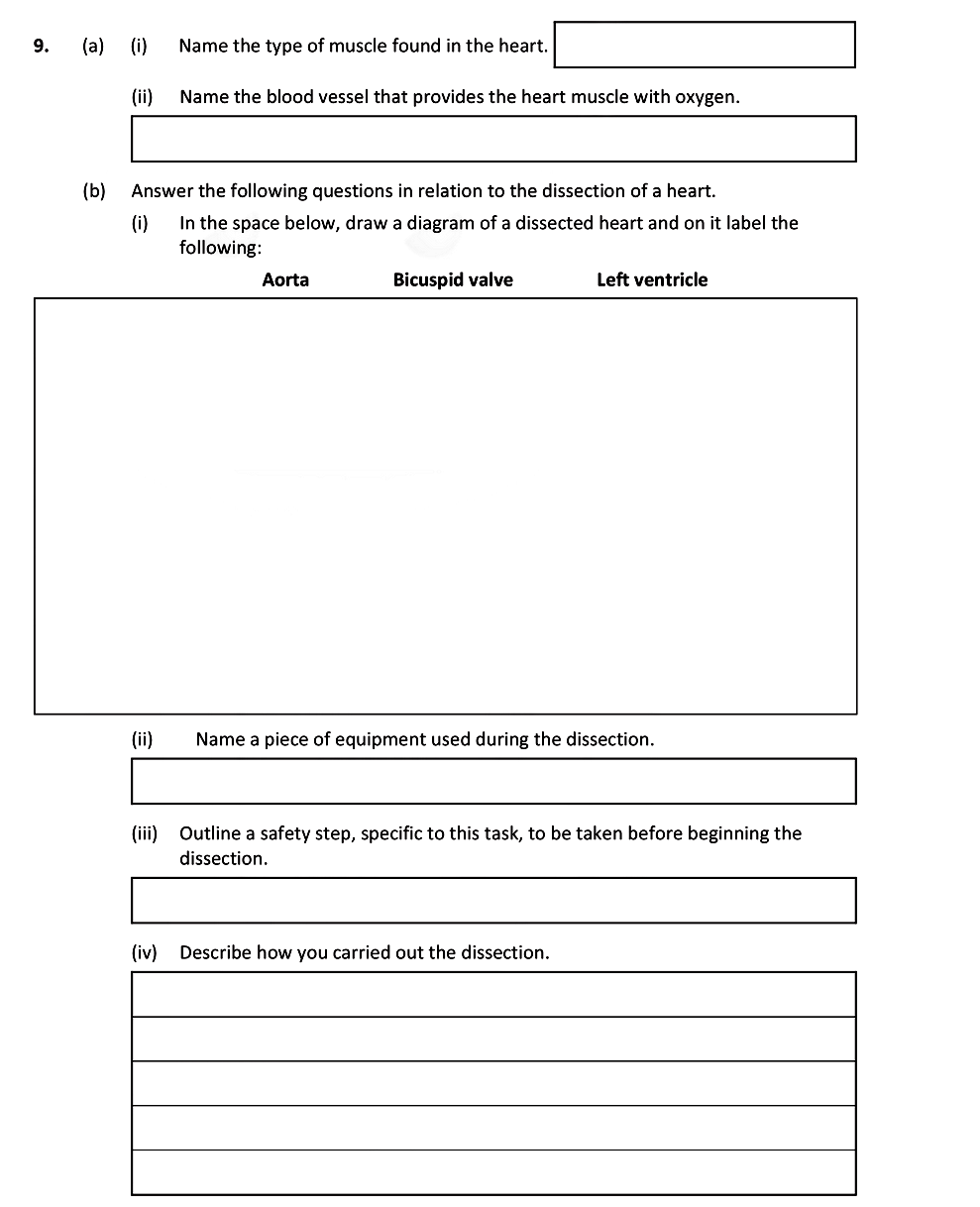(a)-(i)-Name-the-type-of-muscle-found-in-the-heart-Leaving Cert Biology-Question 9-2019.png