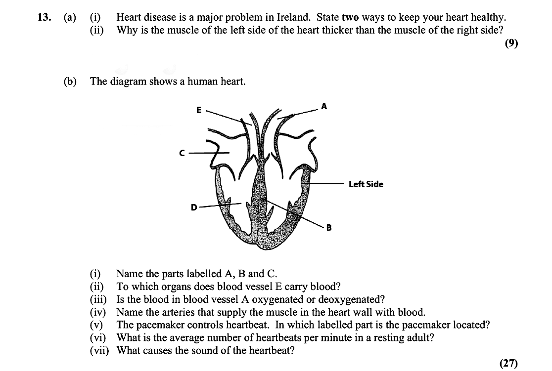 13.-(a)-Heart-disease-is-a-major-problem-in-Ireland-Leaving Cert Biology-Question 13-2015.png