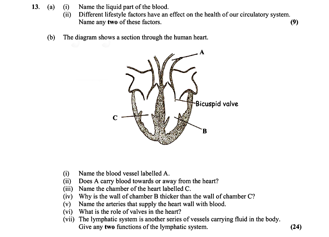 13.-(a)-(i)-Name-the-liquid-part-of-the-blood-Leaving Cert Biology-Question 13-2011.png