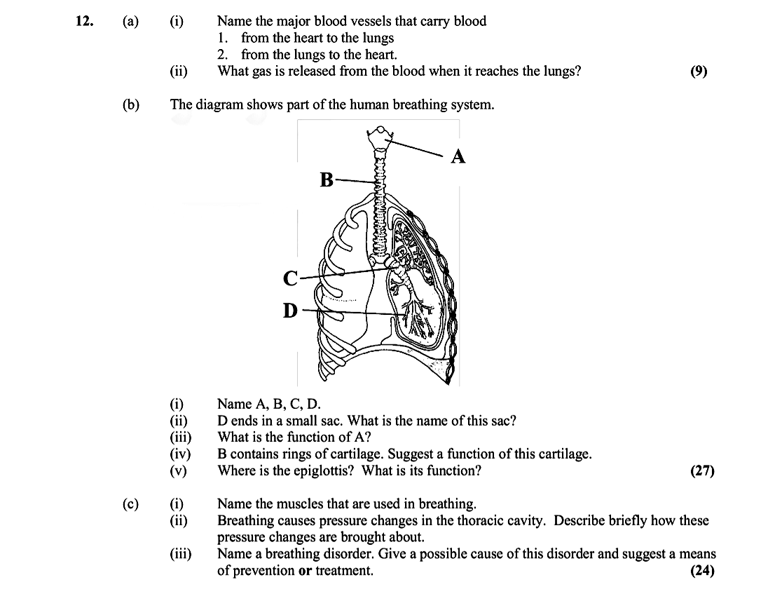 12.-(a)-Name-the-major-blood-vessels-that-carry-blood---1-Leaving Cert Biology-Question 12-2020.png
