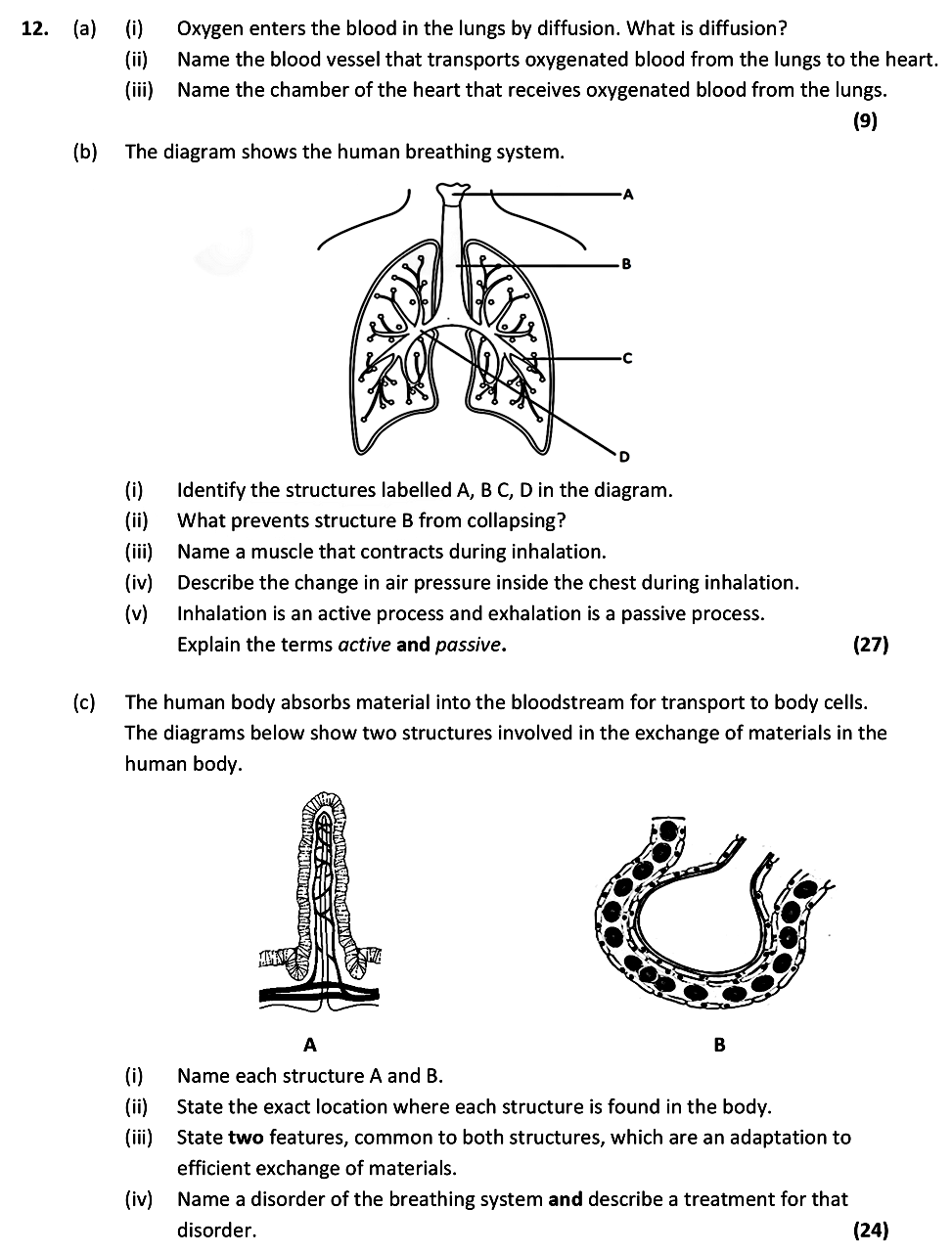 12.-(a)-(i)-Oxygen-enters-the-blood-in-the-lungs-by-diffusion-Leaving Cert Biology-Question 12-2020.png