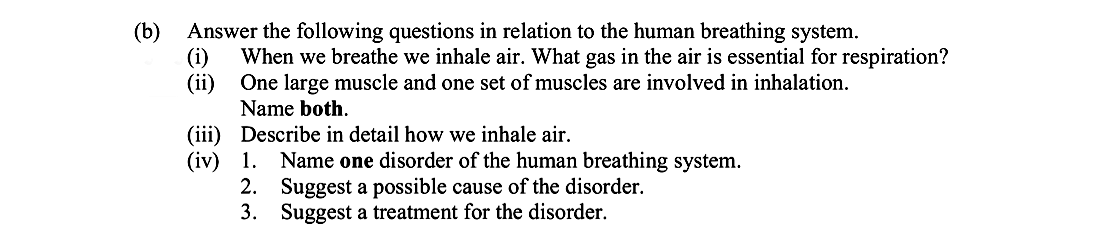 Answer-the-following-questions-in-relation-to-the-human-breathing-system-Leaving Cert Biology-Question (b)-2014.png