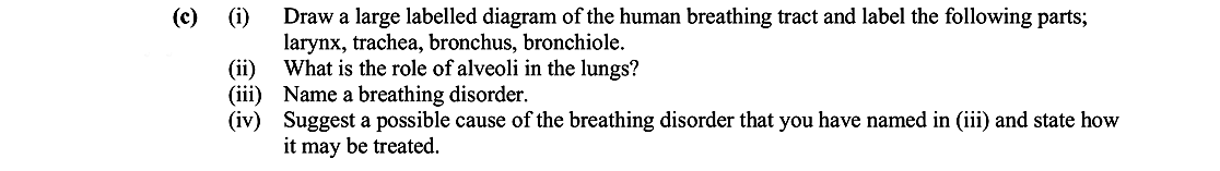 Draw-a-large-labelled-diagram-of-the-human-breathing-tract-and-label-the-following-parts;-larynx,-trachea,-bronchi,-bronchiole-Leaving Cert Biology-Question e-2008.png