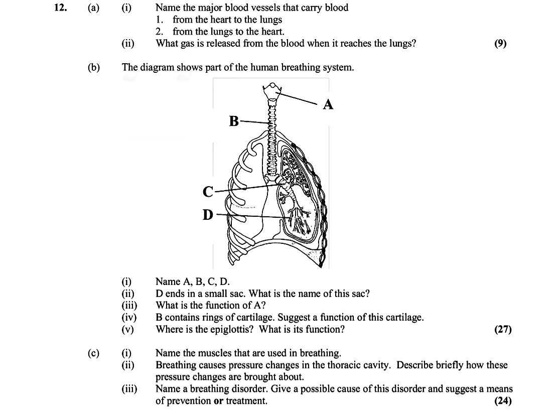 12.-(a)--(i)-Name-the-major-blood-vessels-that-carry-blood-1-Leaving Cert Biology-Question 12-2005.png