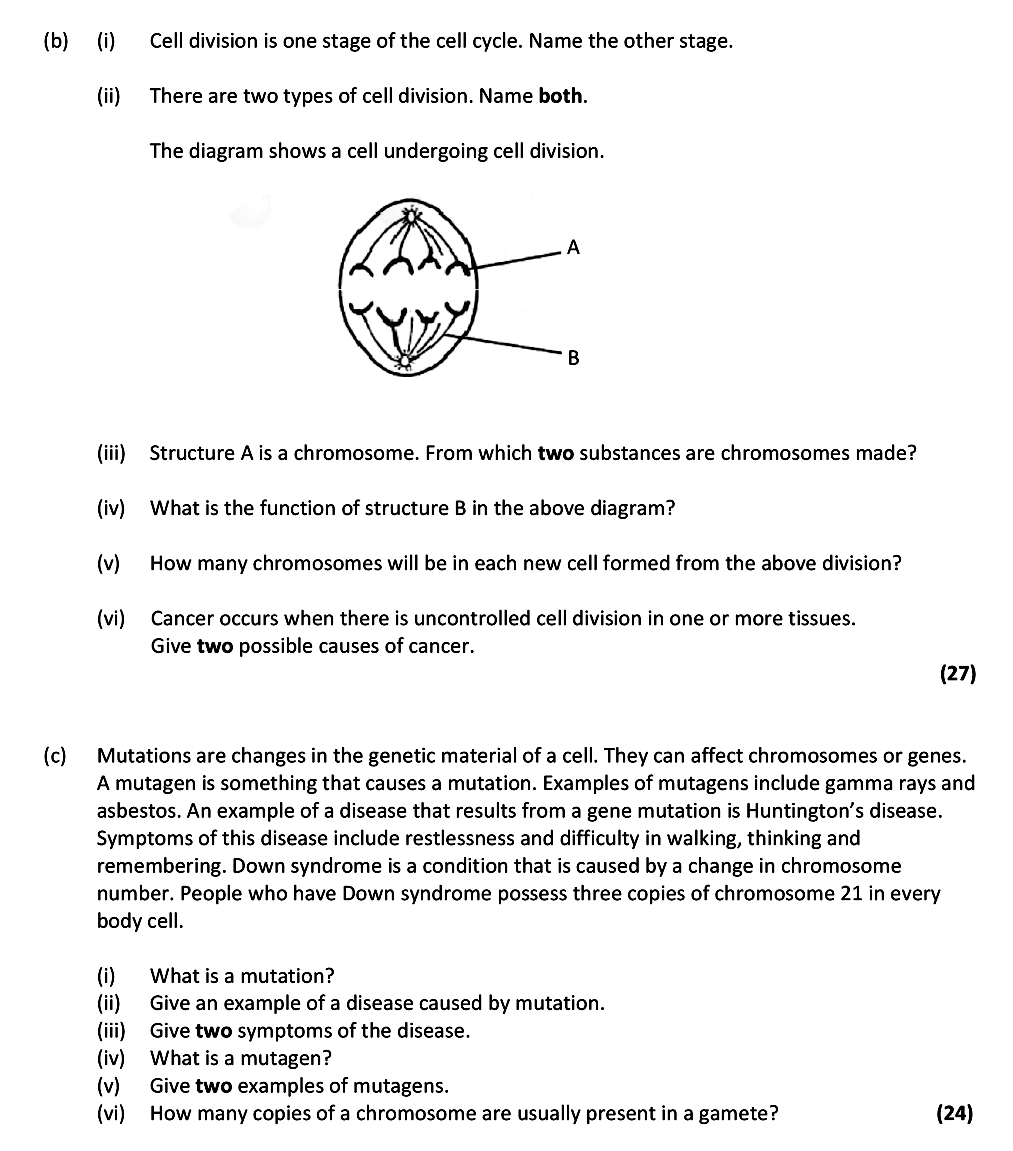 Cell-division-is-one-stage-of-the-cell-cycle-Leaving Cert Biology-Question b-2017.png