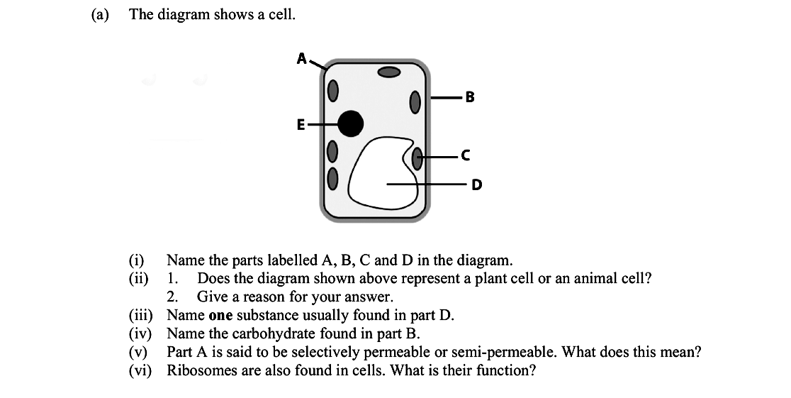 The-diagram-shows-a-cell-Leaving Cert Biology-Question a-2015.png