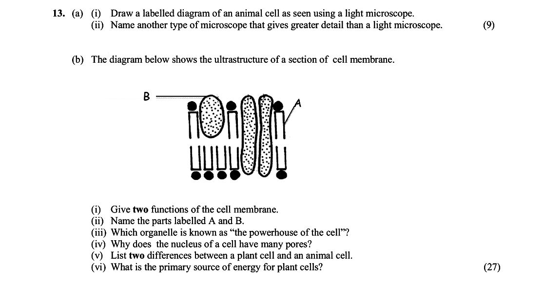 13.-(a)-(i)-Draw-a-labelled-diagram-of-an-animal-cell-as-seen-using-a-light-microscope-Leaving Cert Biology-Question 13-2013.png