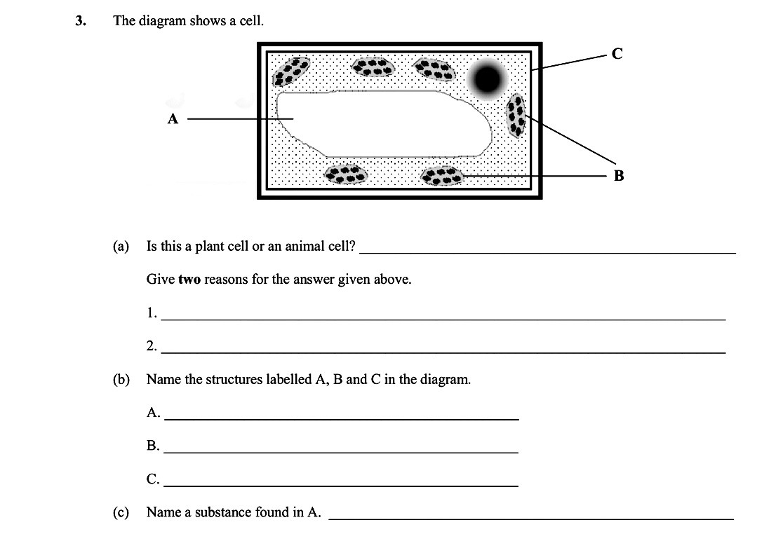 The-diagram-shows-a-cell-Leaving Cert Biology-Question 3-2010.png