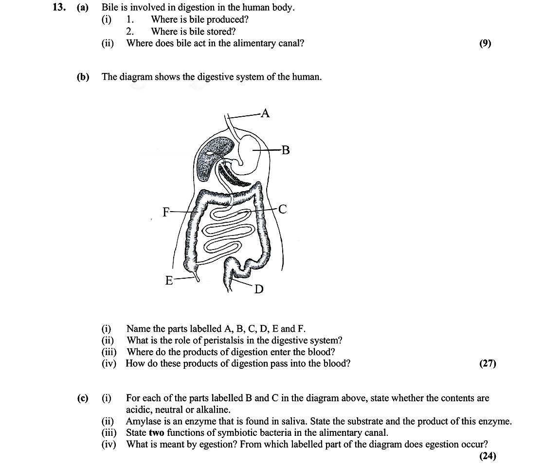 Bile-is-involved-in-digestion-in-the-human-body-Leaving Cert Biology-Question 13-2008.png