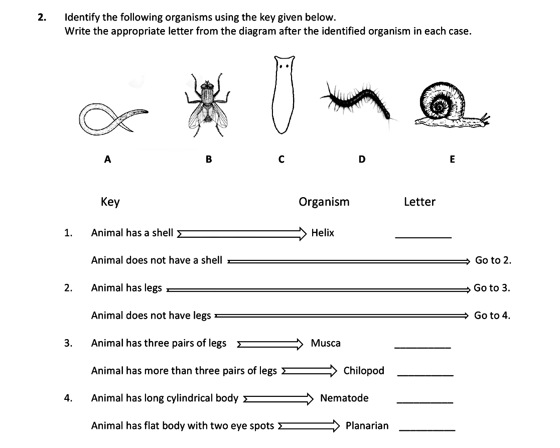 Identify-the-following-organisms-using-the-key-given-below-Leaving Cert Biology-Question 2-2017.png