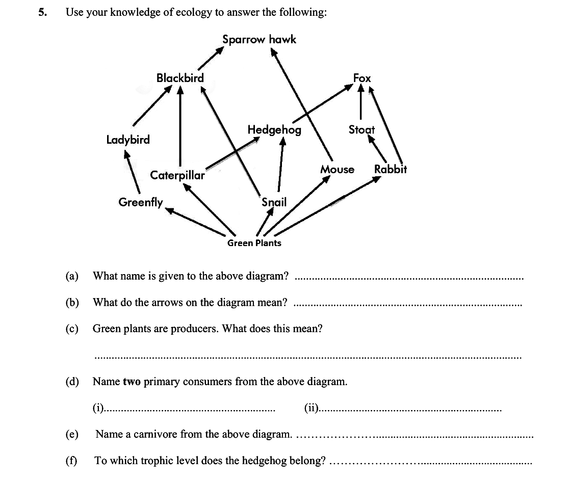 Use-your-knowledge-of-ecology-to-answer-the-following:--(a)-What-name-is-given-to-the-above-diagram?--(b)-What-do-the-arrows-on-the-diagram-mean?--(c)-Green-plants-are-producers-Leaving Cert Biology-Question 5-2015.png