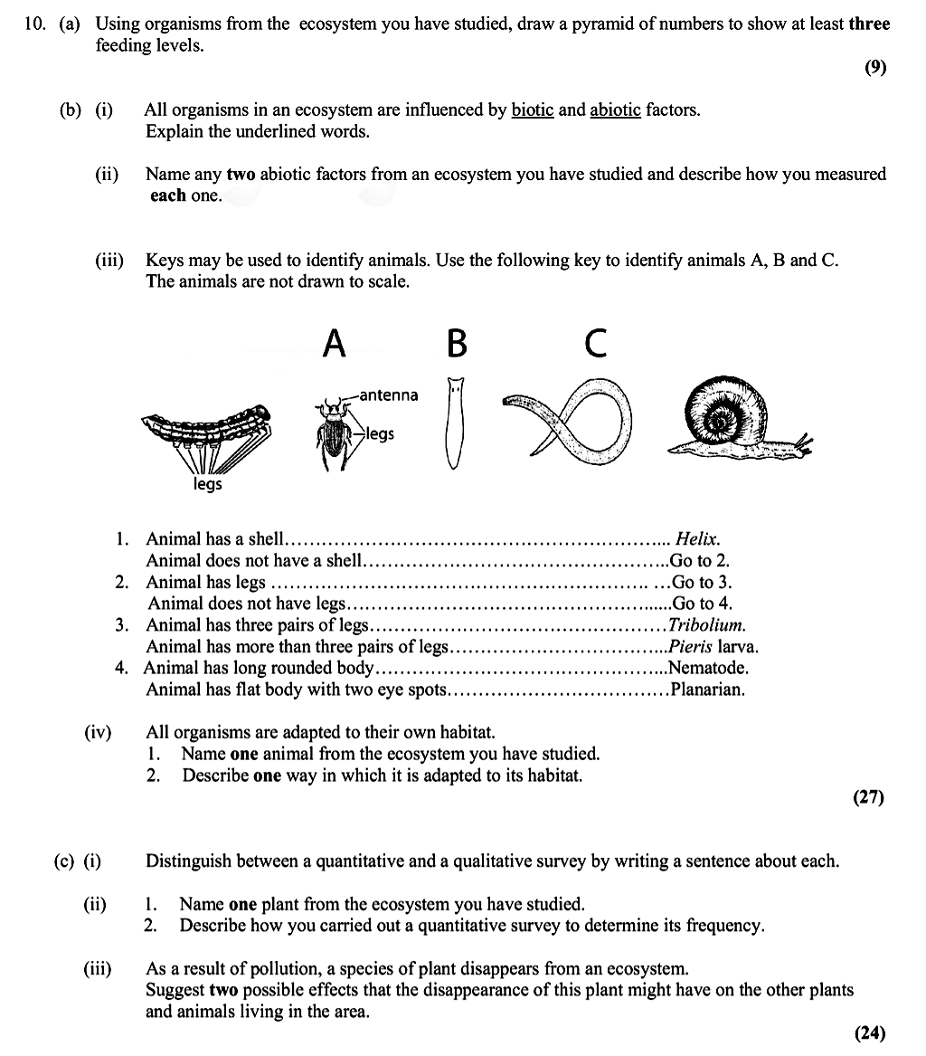 10.-(a)-Using-organisms-from-the-ecosystem-you-have-studied,-draw-a-pyramid-of-numbers-to-show-at-least-three-feeding-levels-Leaving Cert Biology-Question 10-2012.png