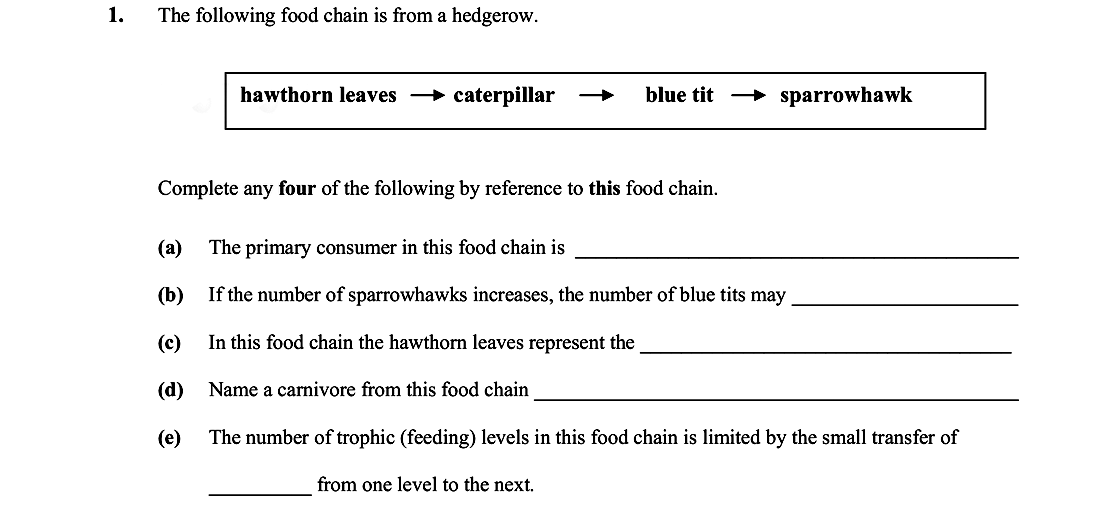 The-following-food-chain-is-from-a-hedgerow-Leaving Cert Biology-Question 1-2008.png