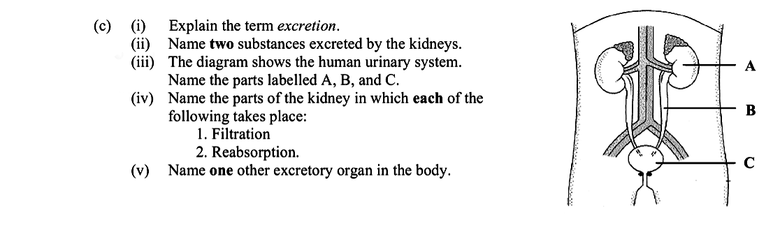 Explain-the-term-excretion-Leaving Cert Biology-Question c-2011.png