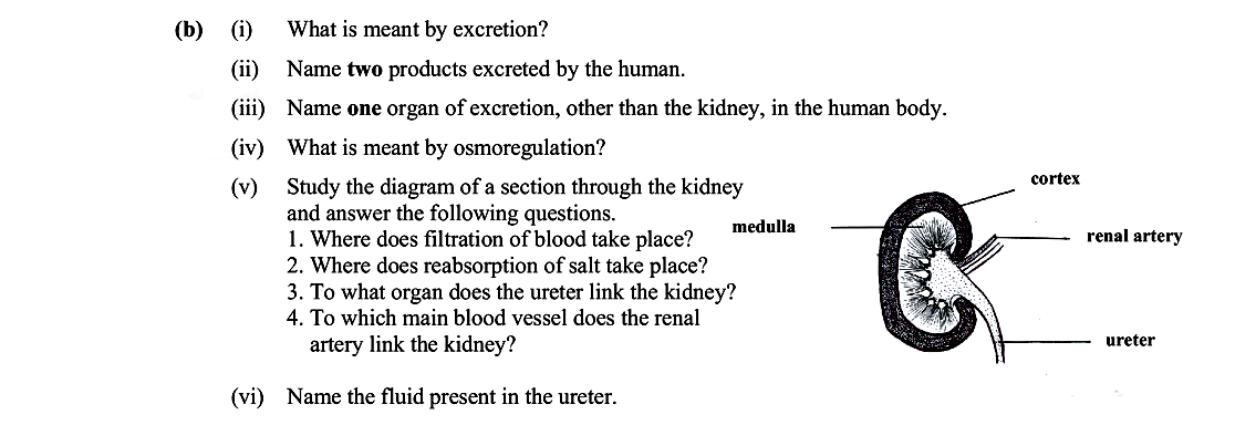 What-is-meant-by-excretion?-Name-two-products-excreted-by-the-human-Leaving Cert Biology-Question b-2007.png