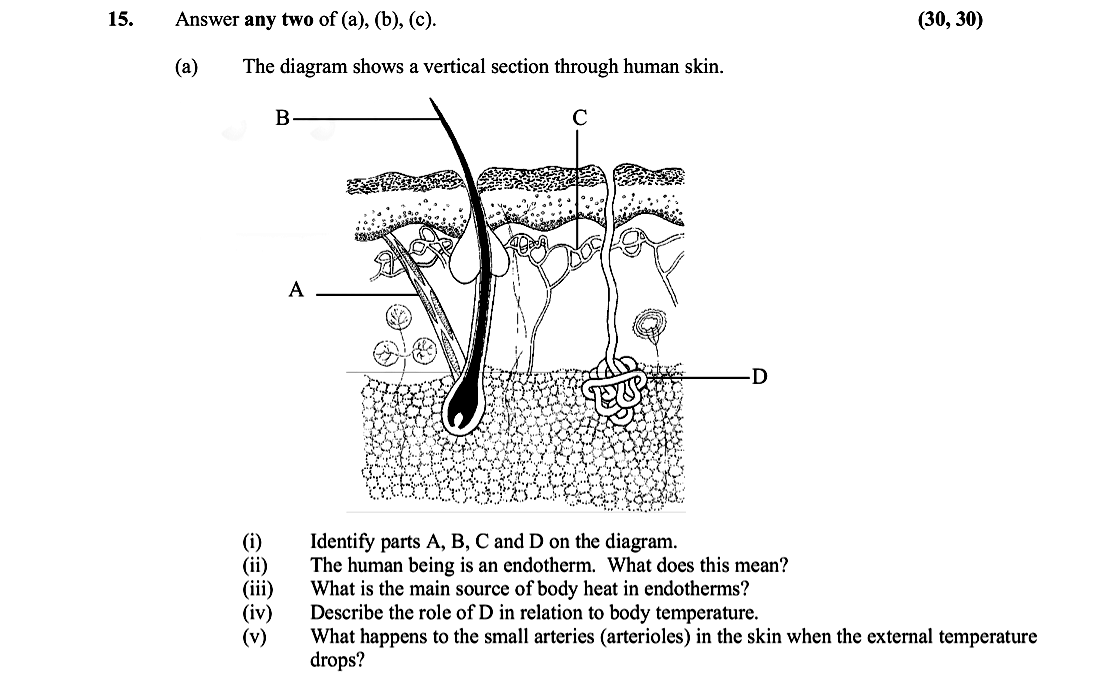 Answer-any-two-of-(a),-(b),-(c)-Leaving Cert Biology-Question 15-2006.png