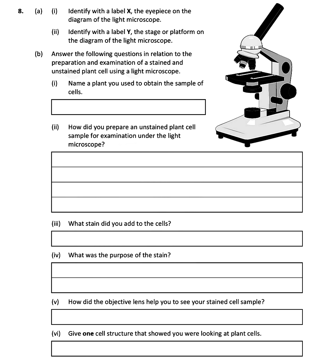 8.-(a)--(i)-Identify-with-a-label-X,-the-eyepiece-on-the-diagram-of-the-light-microscope-Leaving Cert Biology-Question 8-2021.png