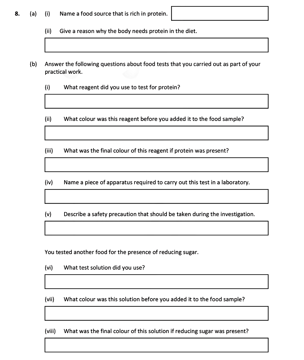 8.-(a)-(i)-Name-a-food-source-that-is-rich-in-protein-Leaving Cert Biology-Question 8-2019.png