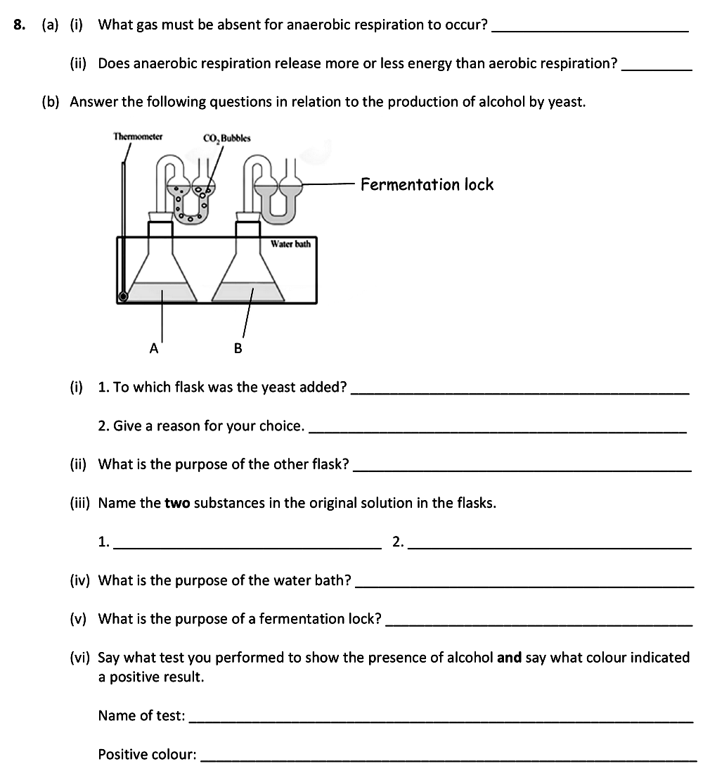 8.-(a)-(i)-What-gas-must-be-absent-for-anaerobic-respiration-to-occur?---(ii)-Does-anaerobic-respiration-release-more-or-less-energy-than-aerobic-respiration?---(b)-Answer-the-following-questions-in-relation-to-the-production-of-alcohol-by-yeast-Leaving Cert Biology-Question 8-2017.png